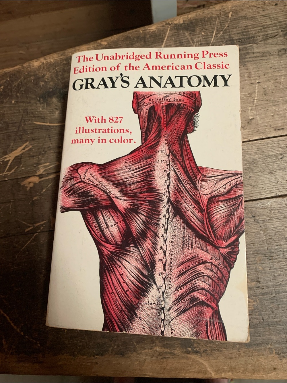 Grey’s Anatomy Book